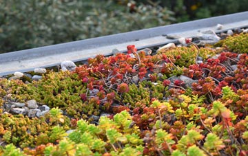 the cost of Nibon green roof installation