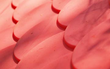 Nibon plastic roof costs