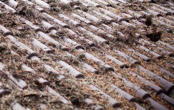 Nibon roof cleaning companies