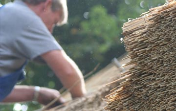 professional Nibon thatchers