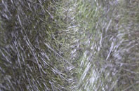 Nibon fibreglass roof work