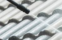 rated Nibon roof cleaning companies